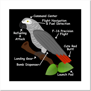 Anatomy of an African Grey Parrot Posters and Art